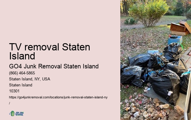 Debris removal TV removal Staten Island