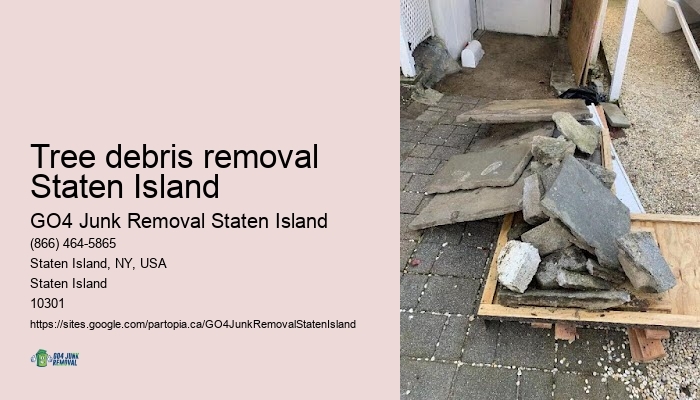 Tree debris removal Staten Island clean out my junk